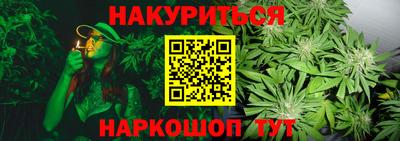 гашик Донской