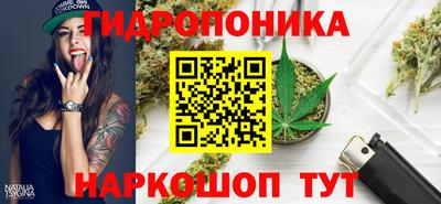 гашик Донской