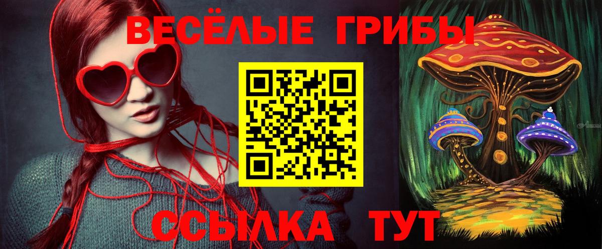 Мариинск  хочу   Вход с VPN  Галлюциногенные грибы Cubensis 